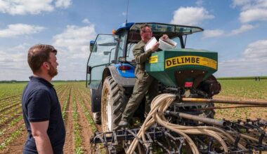 Agriculture. Odeurs, insectes prédateurs... des alternatives aux néonicotinoïdes existent