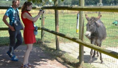 Fermes, parcs, zoo ou aquarium, sept lieux avec des animaux à visiter en Ille-et-Vilaine