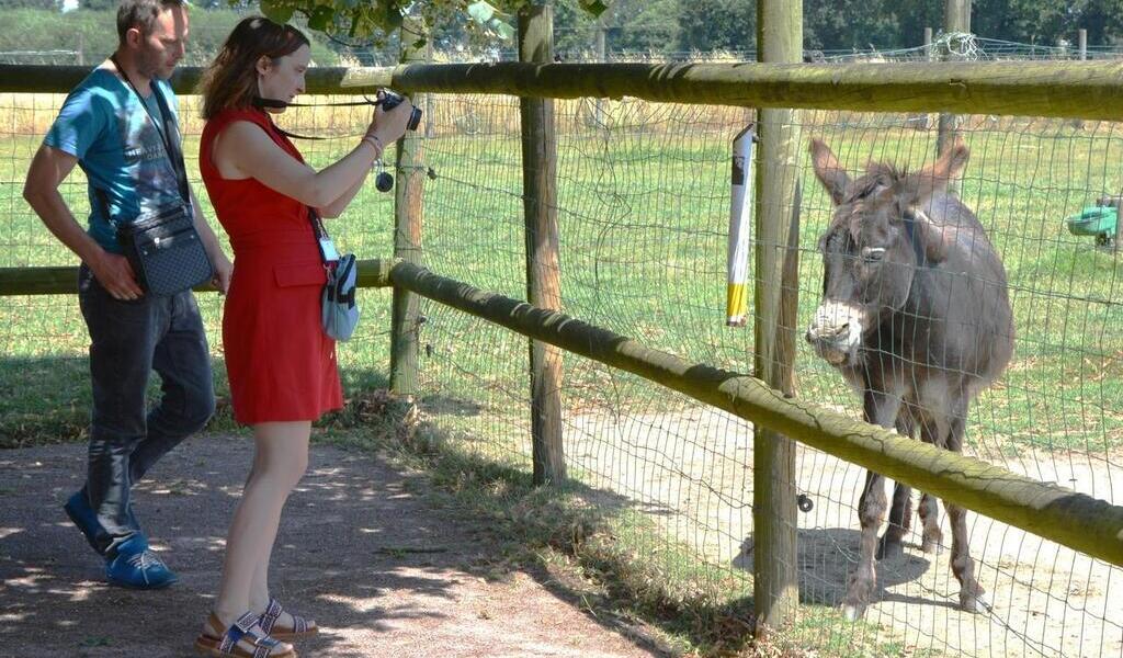 Fermes, parcs, zoo ou aquarium, sept lieux avec des animaux à visiter en Ille-et-Vilaine