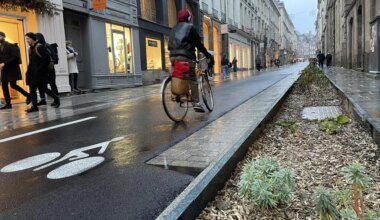 Eaux pluviales, végétalisation… Des aides pour les projets des habitants de Rennes métropole