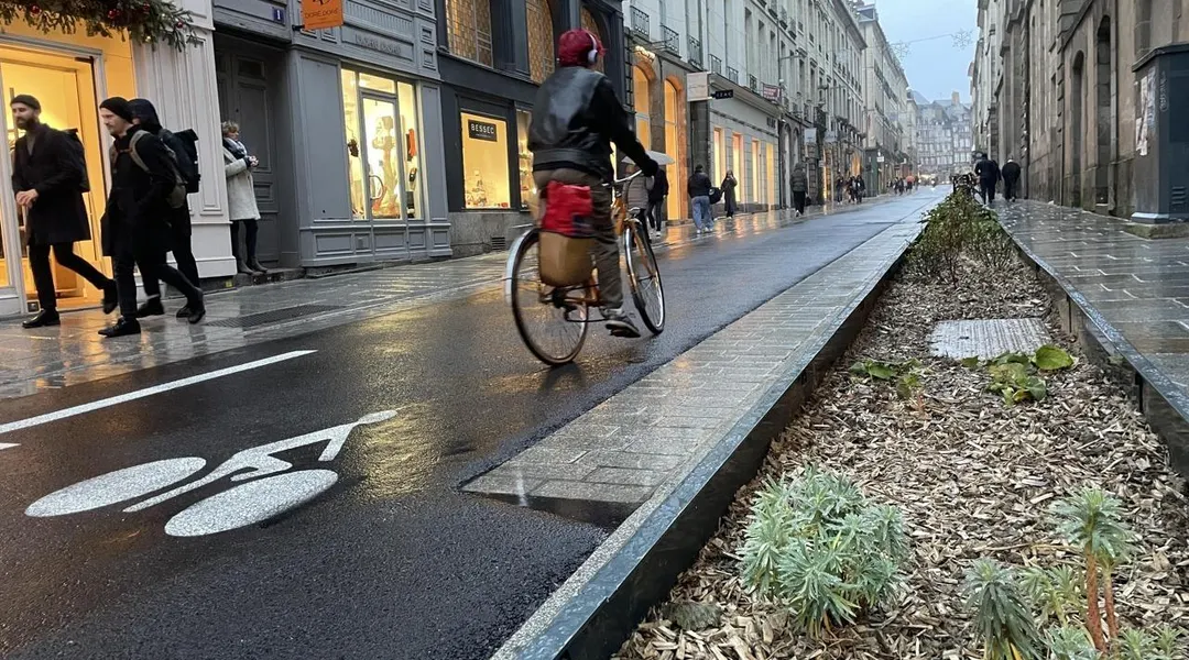 Eaux pluviales, végétalisation… Des aides pour les projets des habitants de Rennes métropole
