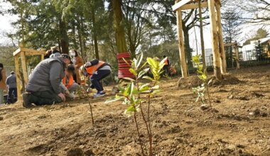 La Ville de Nantes achète pour 80 000 € de graines par an : désormais elle les produira