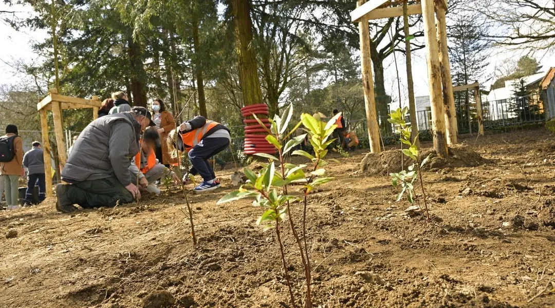 La Ville de Nantes achète pour 80 000 € de graines par an : désormais elle les produira