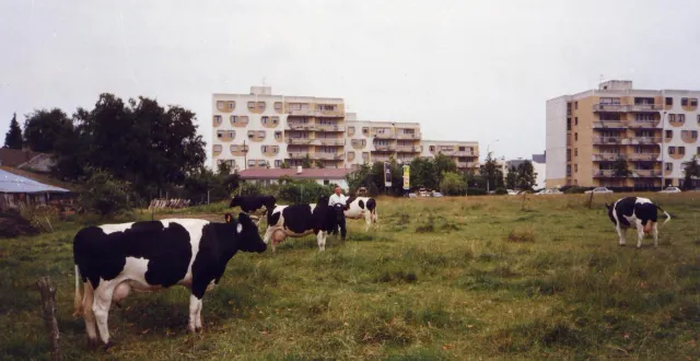 photo  dans les années 1960, les immeubles collectifs commencent à remplacer les cités en bois, comme ici la cité du ranzay, à nantes. petit à petit, les derniers exploitants agricoles vont devoir vendre leurs fermes.  ©  crédit batignolles retrouvailles 