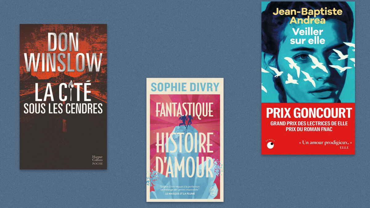 Don Winslow, Jean-Baptiste Andrea, Sophie Divry… Notre sélection spéciale livres de poche de l’été