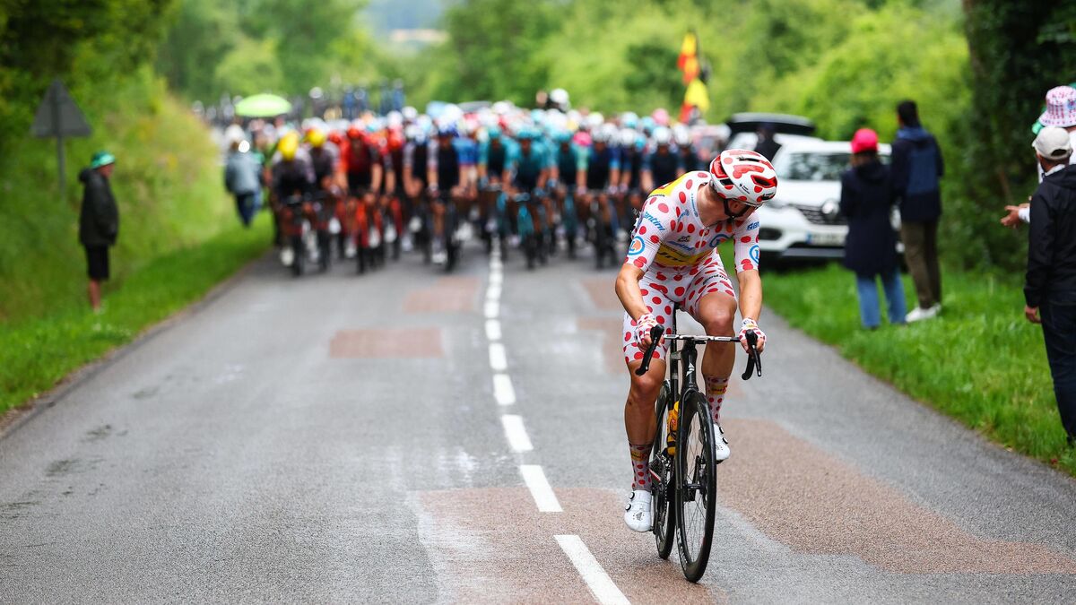 Tour de France : quels sont les coureurs les plus sacrés sur la Grande Boucle ?