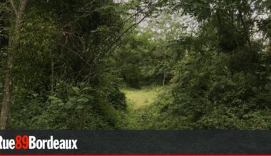 Trois nouveaux parcs publics accessibles à tous dans la métropole bordelaise depuis 2025