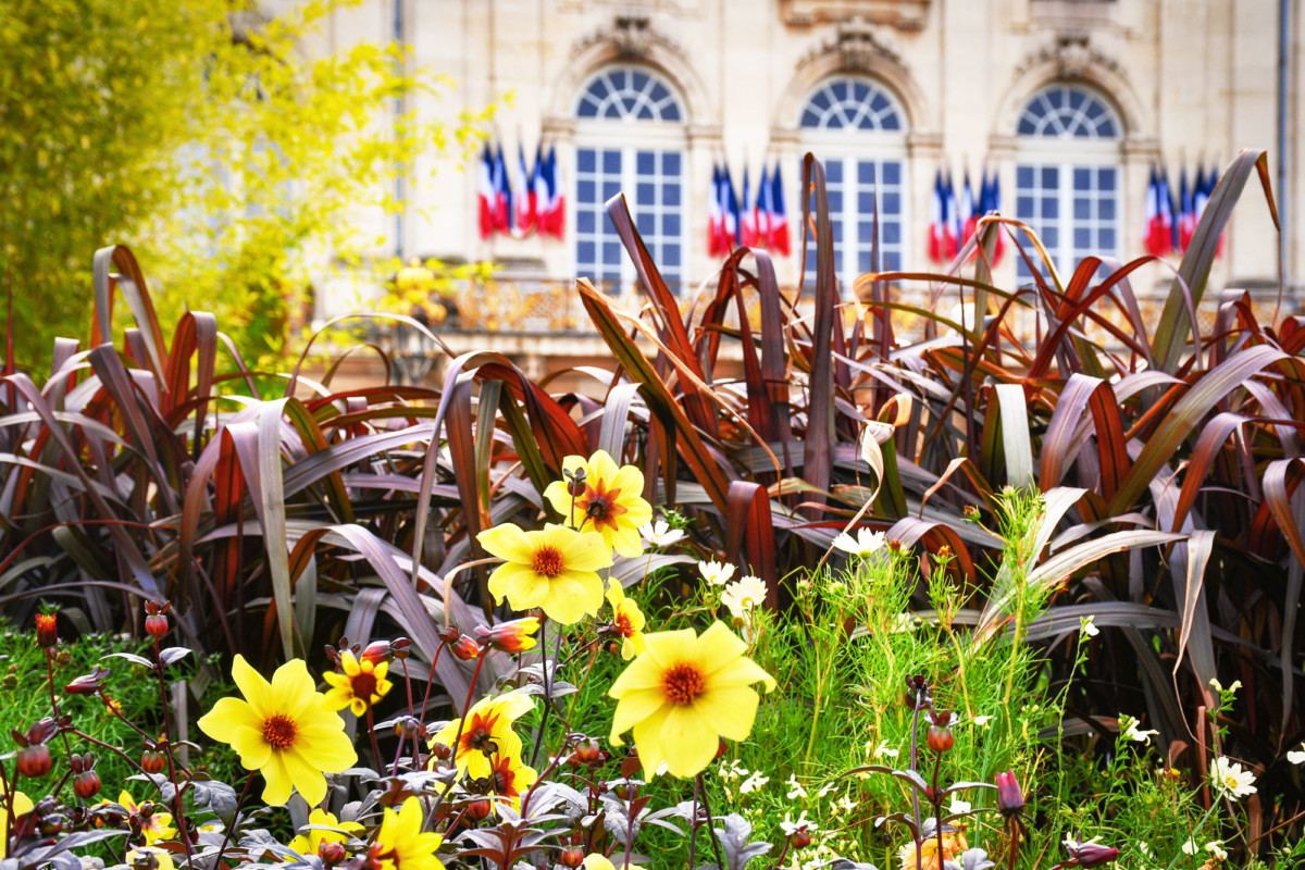 Jardin éphémère, place Stanislas, Nancy © French Moments