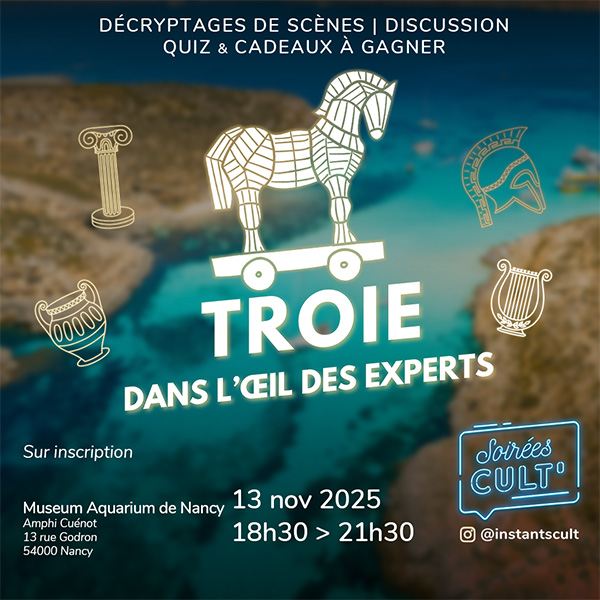 [Soirée Culte] Troie dans l’œil des experts - Factuel