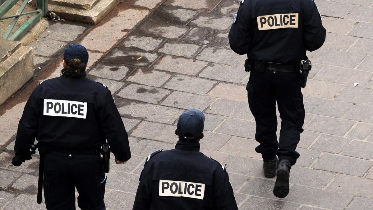 L’Île-Saint-Denis : la femme qui avait aspergé les policiers d’ammoniaque a été internée