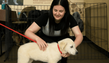 SALON DU CHIOT AU PARC EXPO DE SAINT-ÉTIENNE