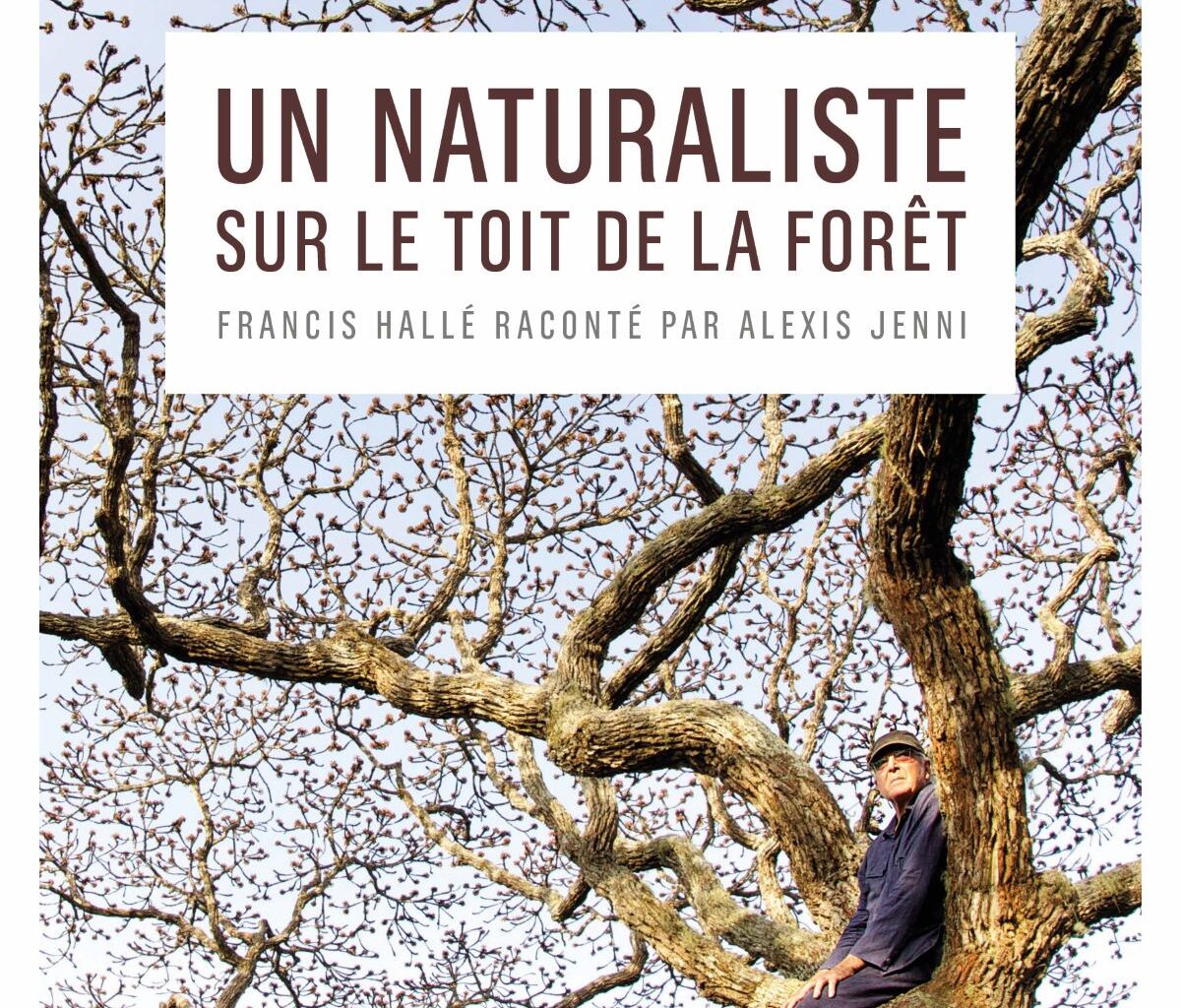 Chronique livre : Un naturaliste sur le toit de la forêt, Francis Hallé raconté par Alexis Jenni