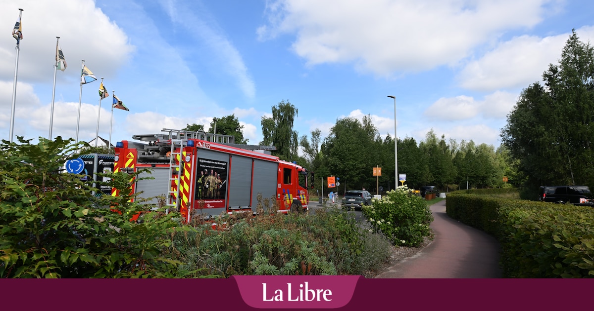 Tomorrowland : nouvel incendie en cours à proximité du festival, un hélicoptère déployé