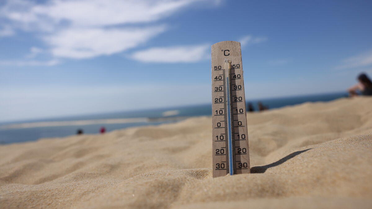 Canicule : dans quel cas passe-t-on en vigilance rouge ?