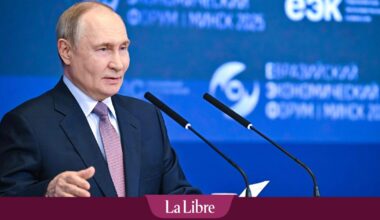 "Elle aide le monde entier à être de meilleure humeur": Vladimir Poutine vante la vodka russe