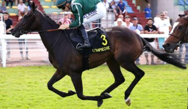 Pronostic gratuit du GRAND PRIX DU CHABOUIF - MONTPENSIER (PRIX EDMOND MAUPOIL)