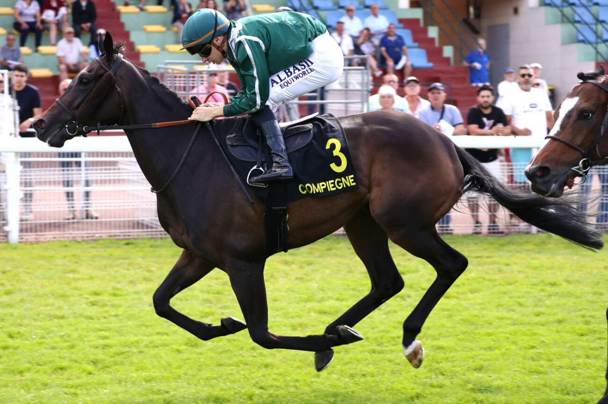Pronostic gratuit du GRAND PRIX DU CHABOUIF - MONTPENSIER (PRIX EDMOND MAUPOIL)