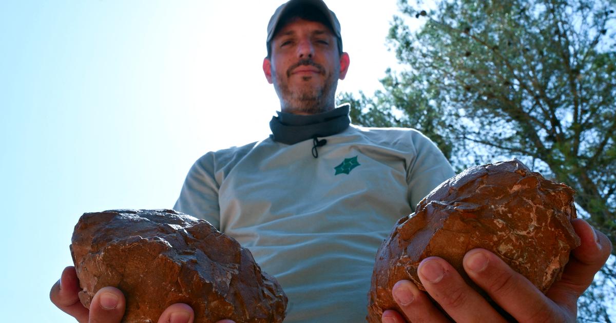 une pouponnière à dinosaures unique au monde près d’Aix-en-Provence