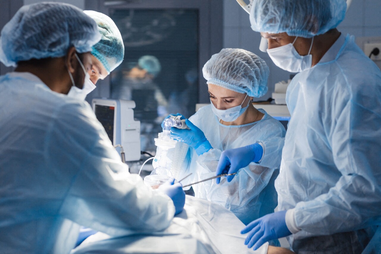 Une bactérie "mangeuse de plastique" découverte à l'hôpital (et elle s'attaque aux patients)