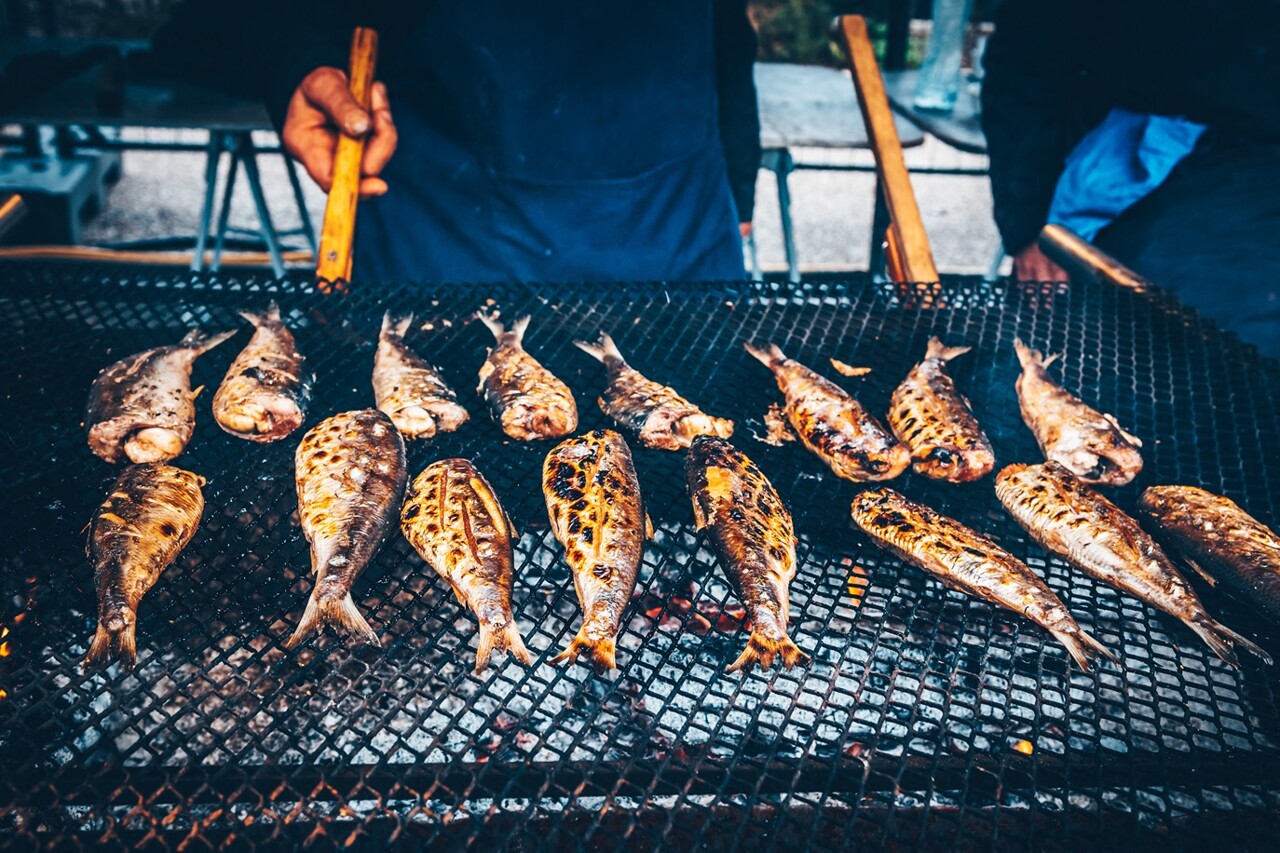 la Nuit des pêcheurs, un rendez-vous incontournable à Toulon