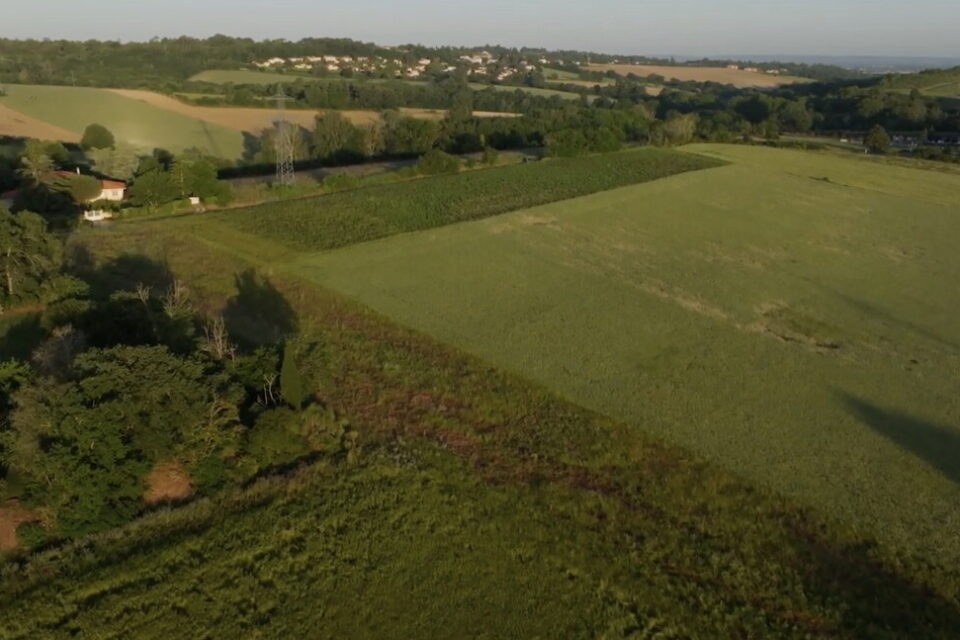 C'est la Safer qui a été mobilisée pour assurer la maîtrise foncière pour le compte du Sicoval sur l'agri-parc d'Auzeville-Tolosane