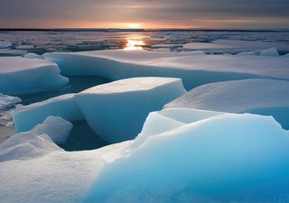 Phénomène inquiétant en Antarctique : une découverte accélère la fonte de la banquise ! De quoi s'agit-il ? 