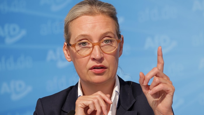Alice Weidel lors d'une conférence de presse.