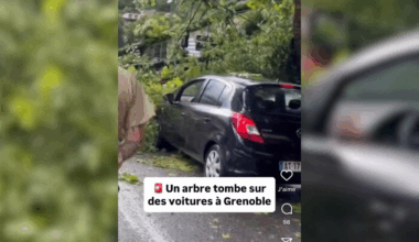 des chutes d'arbres et une maison frappée par la foudre