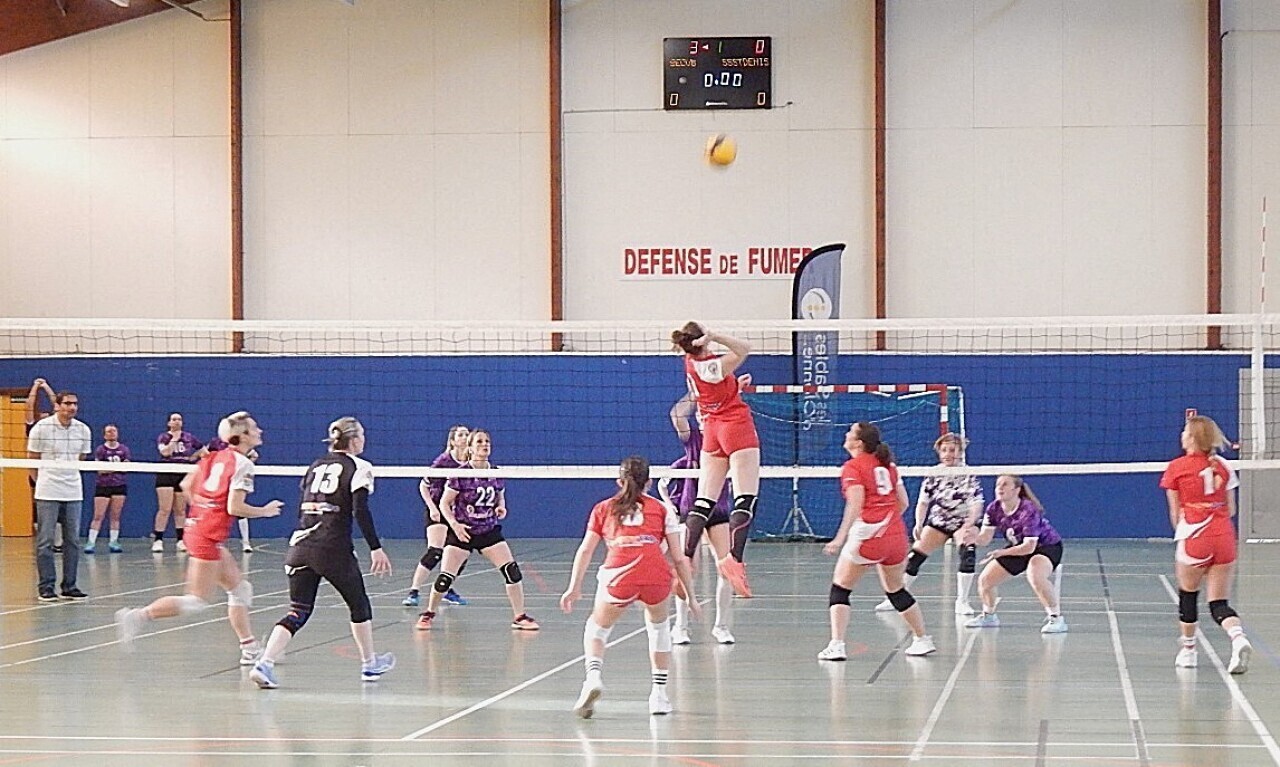 Pour ses 60 ans, le Sec Volley est prêt à passer dans une nouvelle dimension