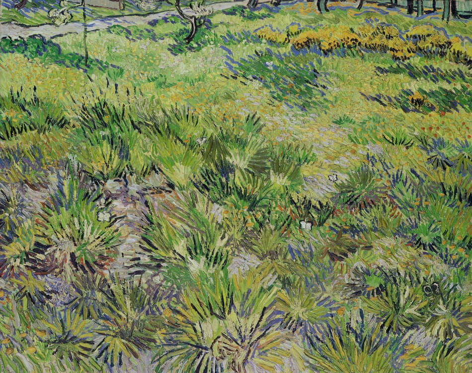 Vincent Van Gogh, Hautes herbes et papillons