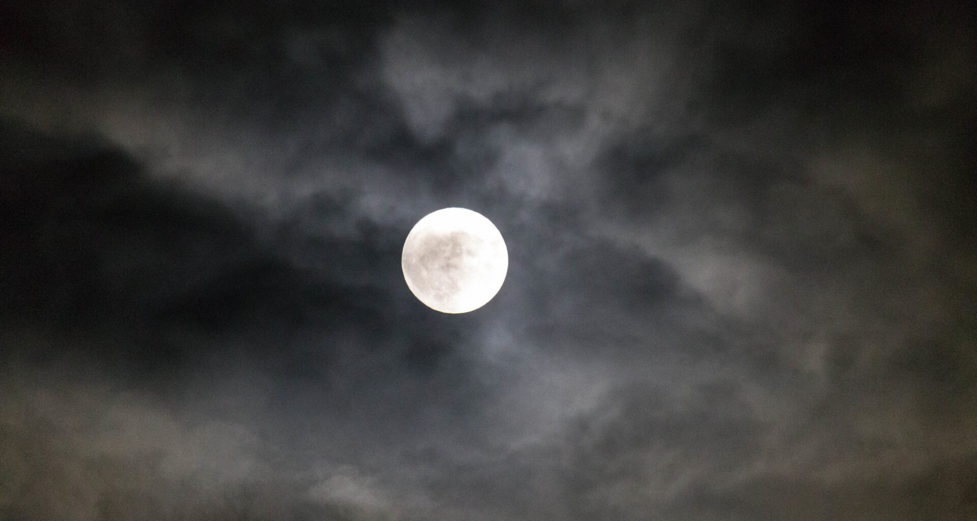 Que faire dans la Loire ce week-end ? (5 et 6 juillet 2025)