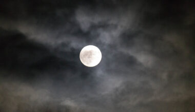 Que faire dans la Loire ce week-end ? (5 et 6 juillet 2025)