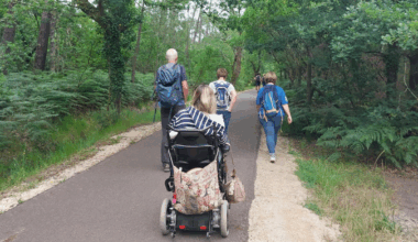Les balades à roulettes ® rennaises