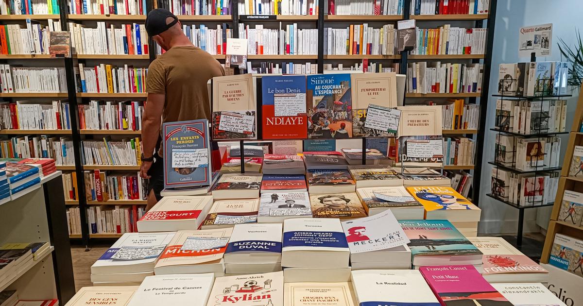 l’été est morose en librairie, malgré la percée de plusieurs best-sellers inattendus