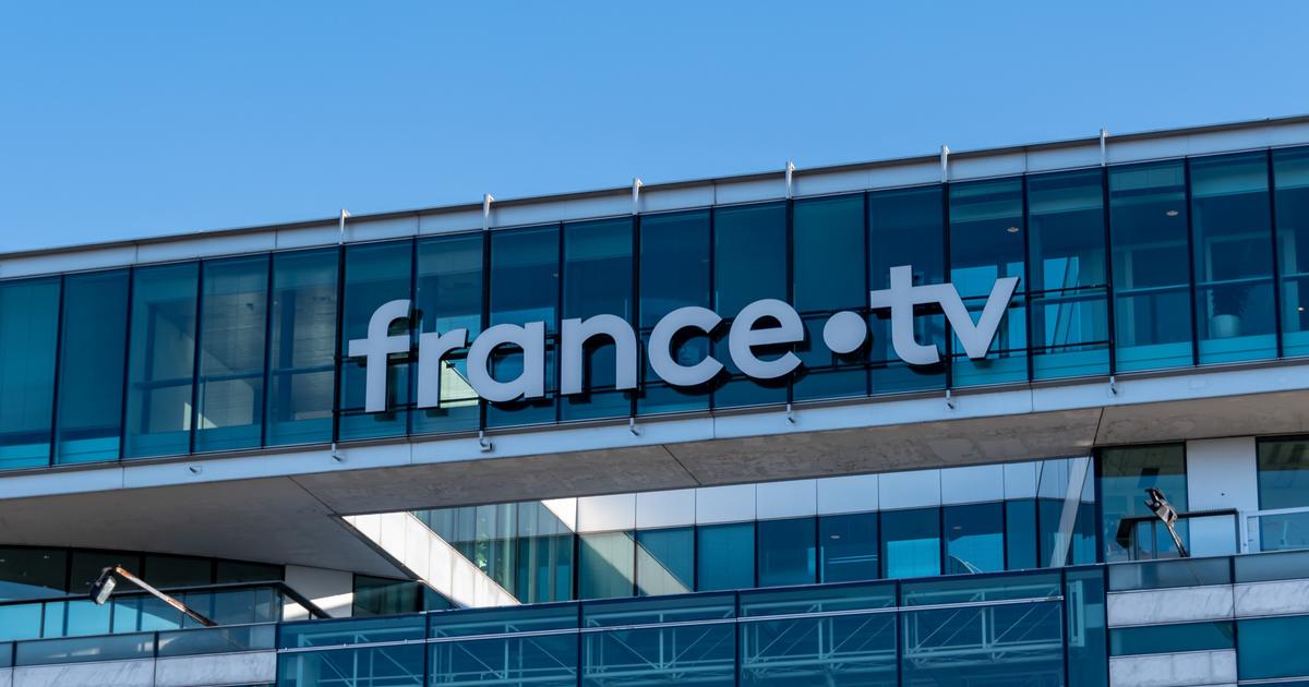 les cumulards de France Télévisions