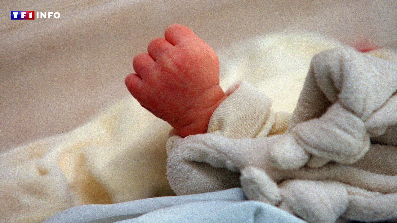 Natalité en France en 2024 : les départements qui plongent et ceux qui s'en sortent