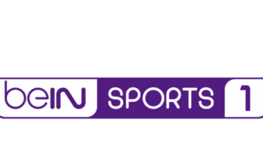 bein-sports-1.png (113 KB)