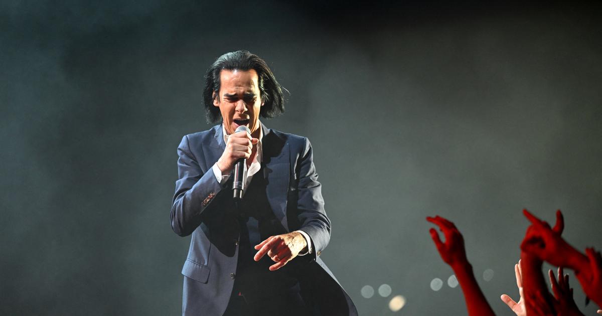 la petite librairie de Brighton devenue la grotte aux trésors de Nick Cave