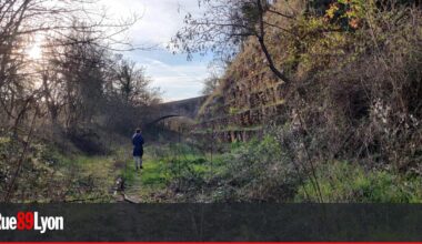 la Région et la Métropole enfin d'accord ?