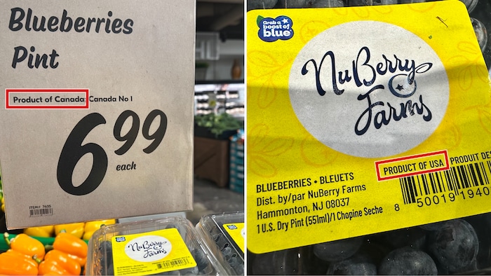 Des paquets de bleuets dans un magasin Sobeys. L'affiche en magasin comprend la mention « Produit du Canada », mais l'emballage indique qu'il s'agit d'un « Produit des États-Unis ».