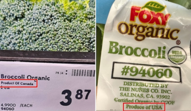 Des images de brocoli dans un magasin Sobeys. Sur l'affiche, on peut lire « Produit du Canada », alors que sur l'étiquette, c'est écrit « Produit des États-Unis ».