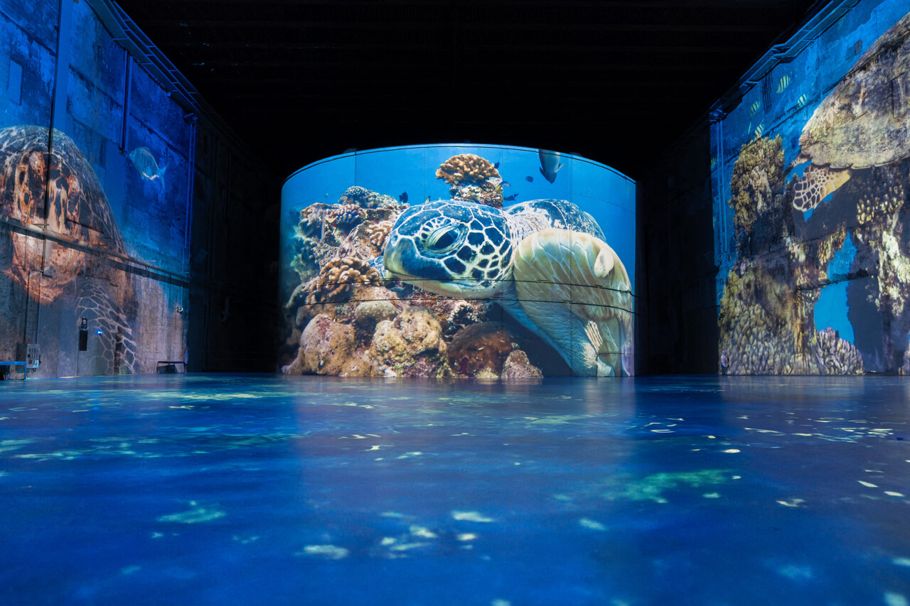À Bordeaux, les Bassins des lumières proposent bientôt une exposition pour voyager au fond des océans
