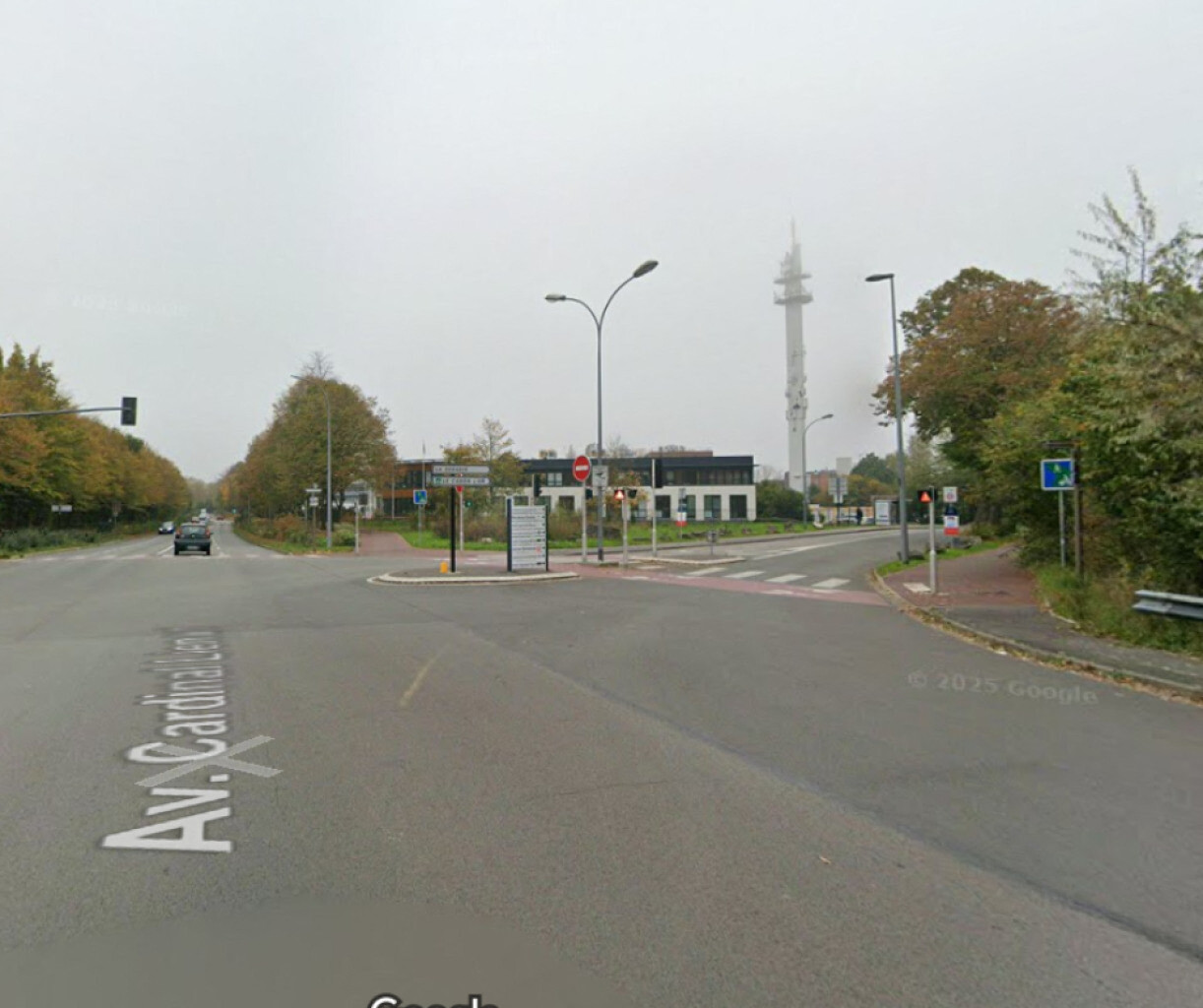 le conducteur s'enfuit, laissant son ami grièvement blessé au sol