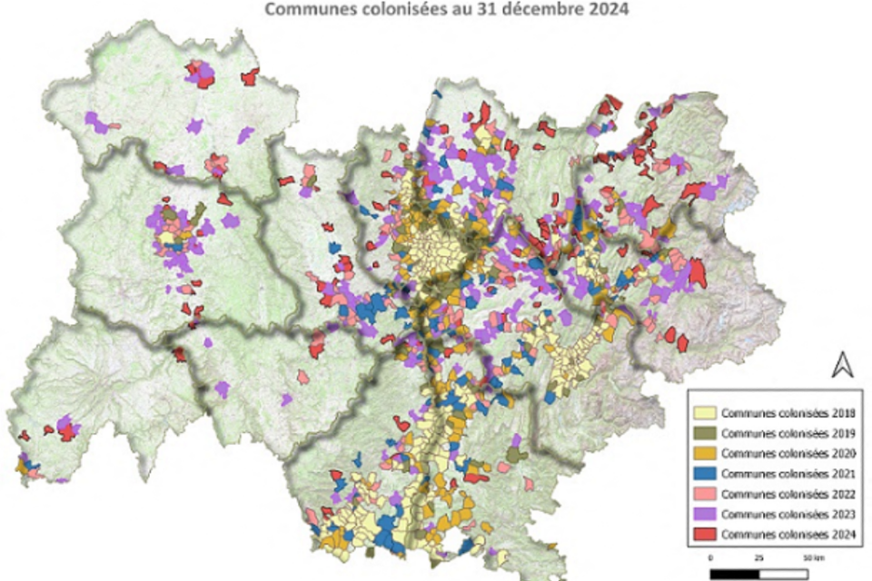 Le moustique-tigre est très présent dans le Rhône depuis plusieurs années.