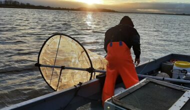 les résultats d’analyses sont bons, la pêche peut reprendre