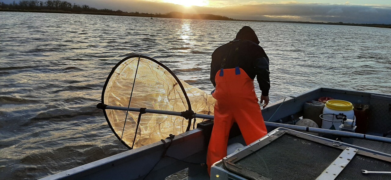 les résultats d’analyses sont bons, la pêche peut reprendre