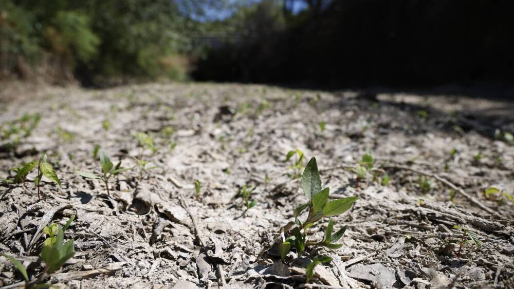 L'Huveaune placé en alerte sécheresse par la préfecture des Bouches-du-Rhône, des restrictions pour les usagers