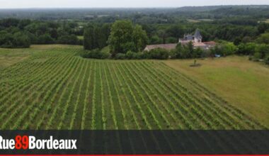 Ces vignerons girondins qui entrent en résistance avec les Soulèvements de la Terre