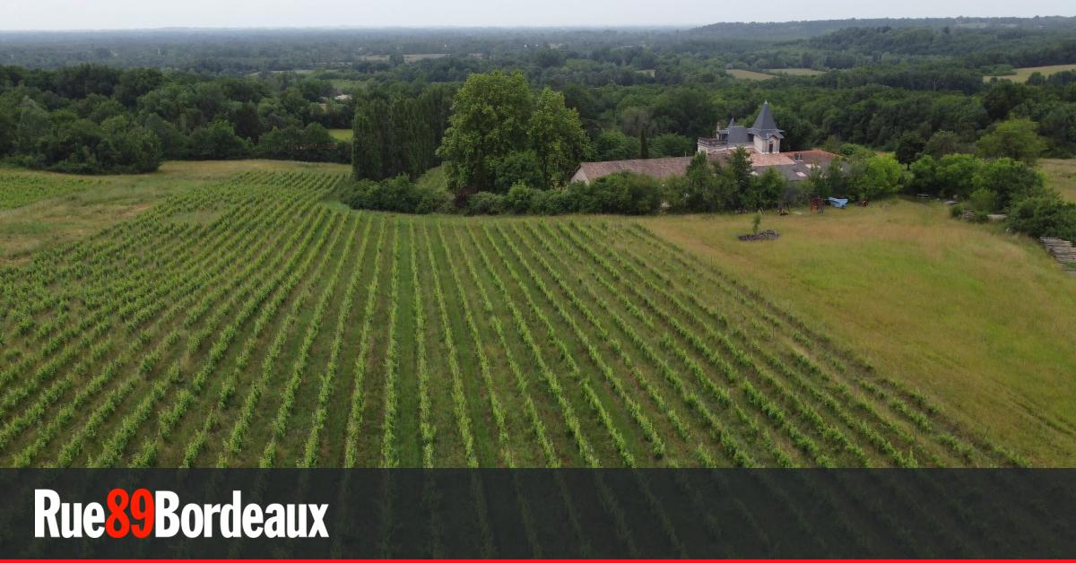 Ces vignerons girondins qui entrent en résistance avec les Soulèvements de la Terre