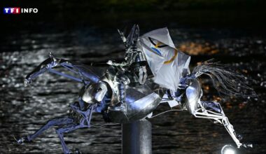 Zeus, le cheval emblématique des JO de Paris, fait escale au Mont-Saint-Michel